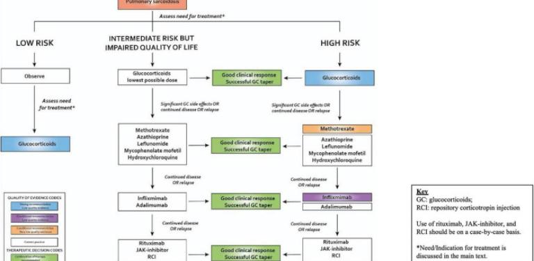 Approach to management of plumonary sarcoidosis. Reproduced with permission from the European Respiratory Society (ERS) clinical practice guidelines on the treatment of sarcoidosis (5). All rights reserved.